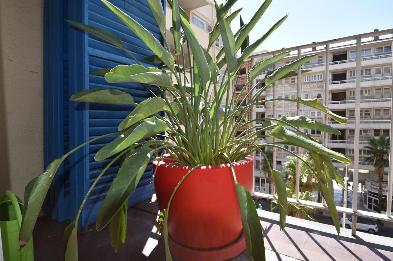 Apartamento Le Gambetta Tolón Exterior foto